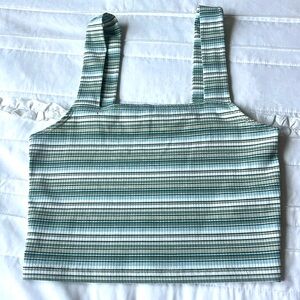 American Eagle stripped green crop top